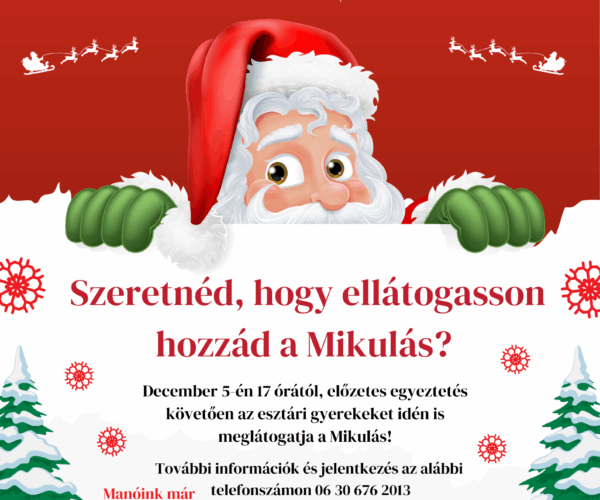 Mikulás házhoz megy